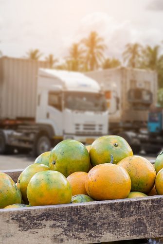 Orange Fruit and food distribution, tropical fruit of Thailand .Truck loaded with containers reefer control by ventilator mode to be shipped to the market.