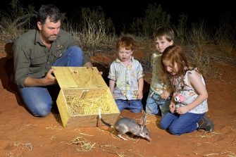 Professor Richard Kingsford, Leader of the Wild Desert Partnership Project, releases a golden bandicoot 'beyond the fence' in Sturt National Park.