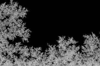 Natural ice crystals frostwork pattern on dark backround. Macro closeup.