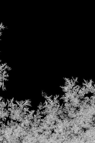 Natural ice crystals frostwork pattern on dark backround. Macro closeup.