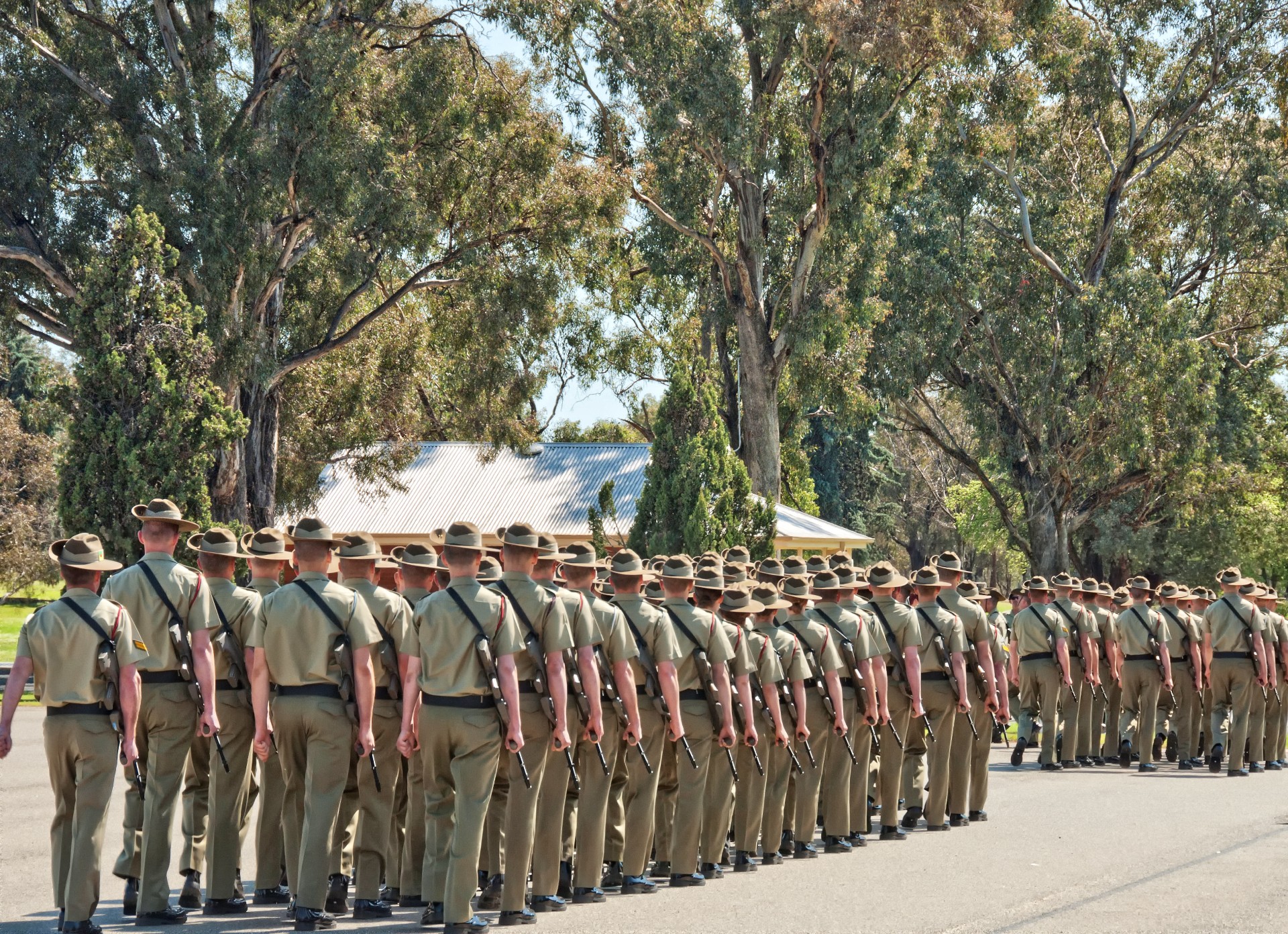 Back view of Australian soldiers at training