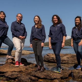 Solutions for urbanized coastal cities