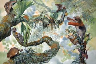 Professor Mike Archer in Thylacine country in Tasmania