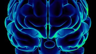 Human brain on front view and isolated on black background, great to be used in medicine works and health.