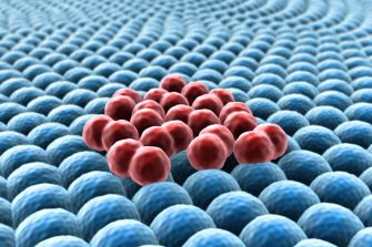 3d rendered cancer cell, Clusters of cells, Microscopic image of cells, 3d rendering, division of cancer cells, group of fat cells