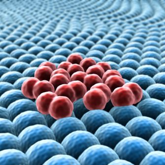 3d rendered cancer cell, Clusters of cells, Microscopic image of cells, 3d rendering, division of cancer cells, group of fat cells