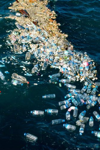 A plastic bottle washed upon the shore with pippy shells attached