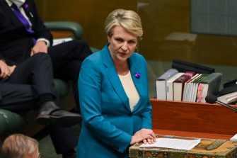 CANBERRA, AUSTRALIA - JULY 28: Australian Minister for Environment and Water Tanya Plibersek MP speaks during Question Time at Parliament House on July 28, 2022 in Canberra, Australia. The 47th parliament is sitting for the first time this week following Labor's victory over the Coalition government in the Australian Federal Election on May 21. (Photo by Martin Ollman/Getty Images)