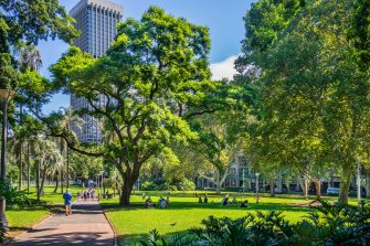 Elevated view of Hyde Park with Anzac War Memorial at dusk, Sydney, NSW, Australia