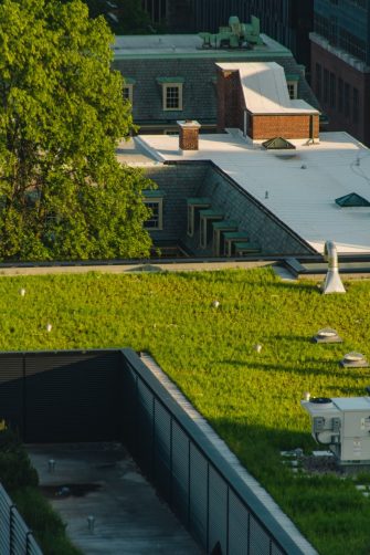Green rooftops
