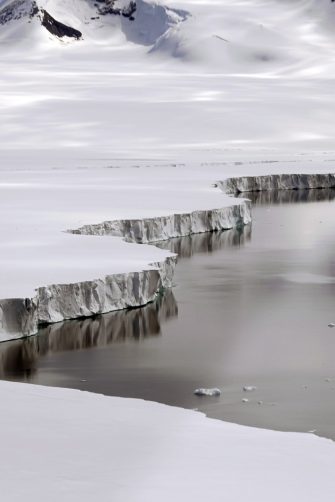Lone penguin waddling on ice in Antarctica