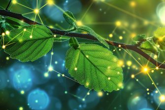 Stylised AI-generated image of leaf in science.