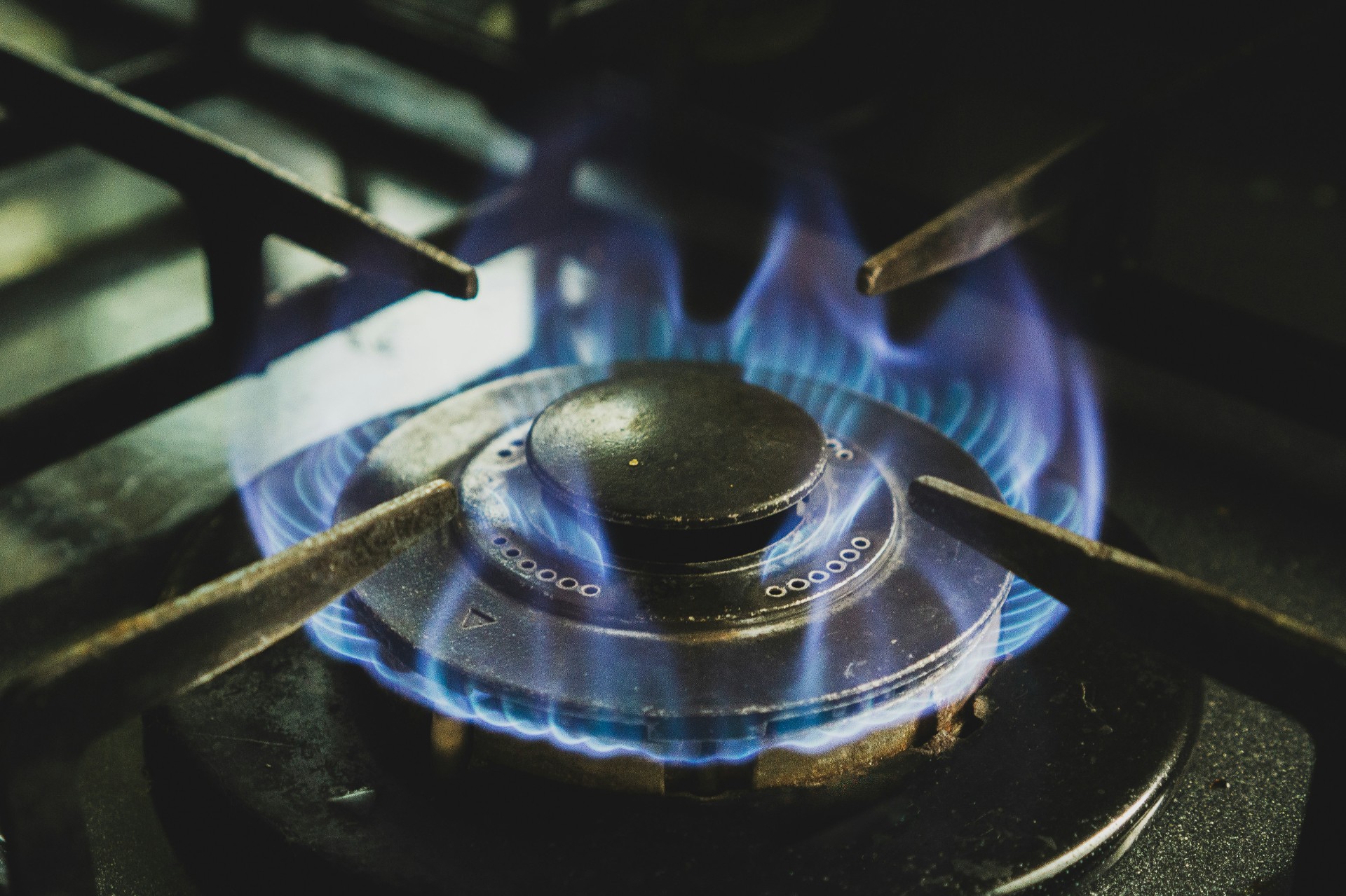 A gas stove element with blue flames