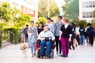 Inclusion of students with disability amongst UNSW students