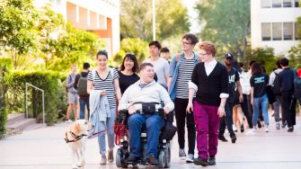 Inclusion of students with disability amongst UNSW students