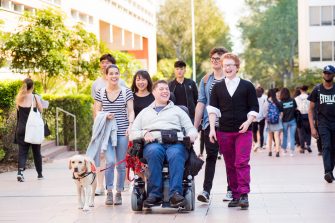 Inclusion of students with disability amongst UNSW students