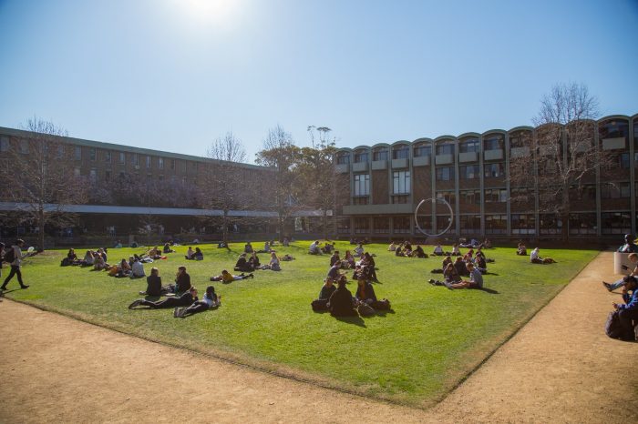 Students on UNSW Library lawn during a sunny day