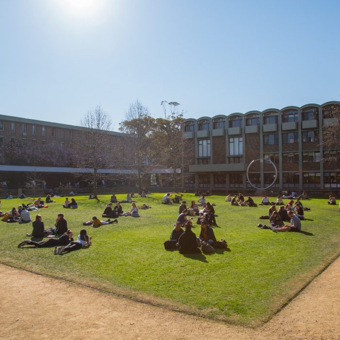 Students on UNSW Library lawn during a sunny day