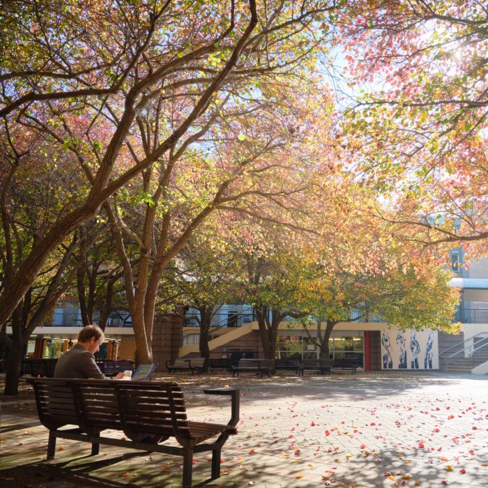 Autumn Colour Kensington Campus