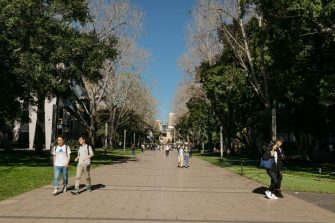 Multiple groups of students walking on wide pathway with trees lining either side