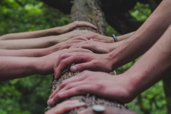 Hands on tree branch