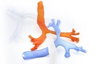 Health Translation Hub Exhibition