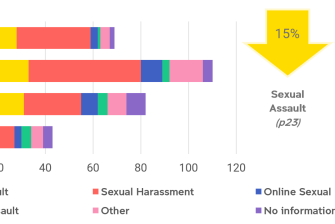 Annual Report sexual misconduct