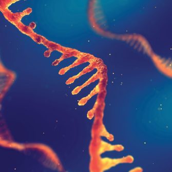 Enable healthy lives