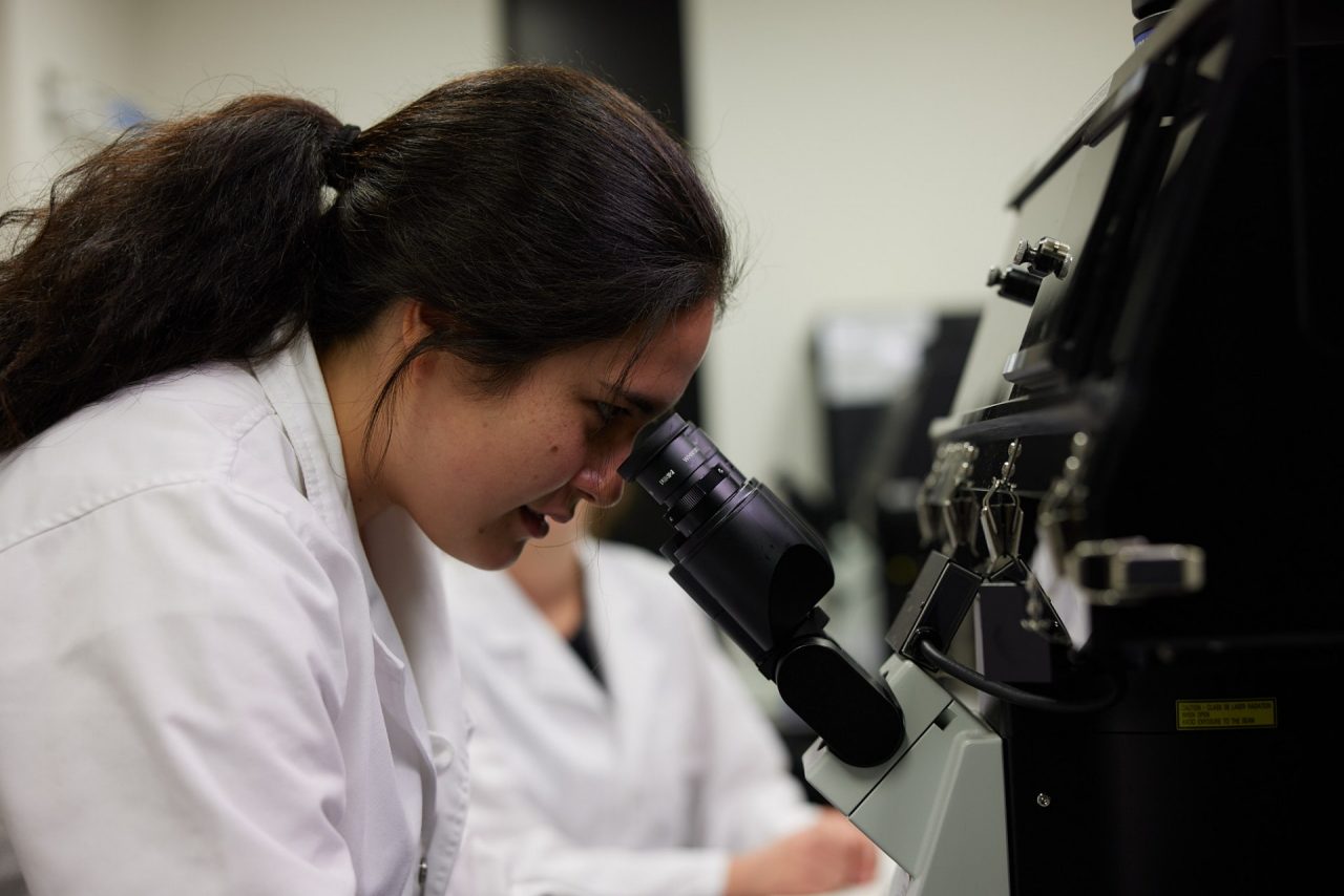 Student microscope Imaging and Biosignal Processing Lab