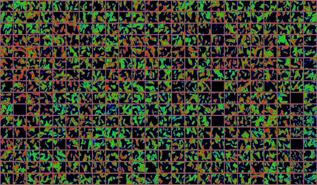 2022-08-screening image