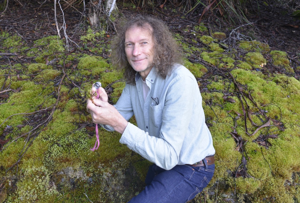 David Keith examining one of the many moss species that are important components of wet forest ecosystems in Australia.
