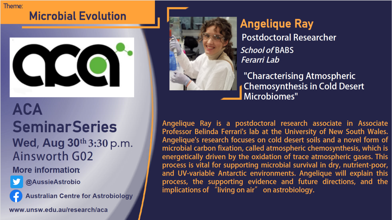 Angelique Ray seminar