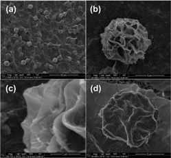 UNESCO Centre for Membrane Science and Technology