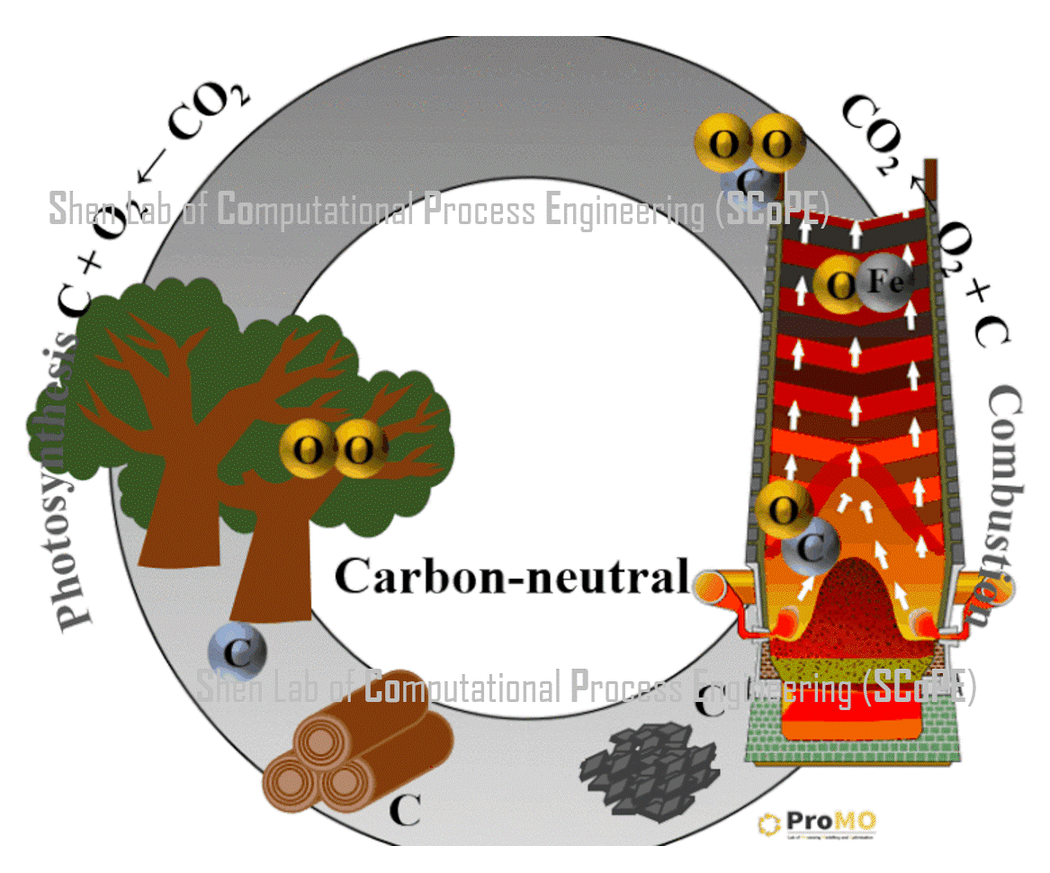 Biomass based fuel development​