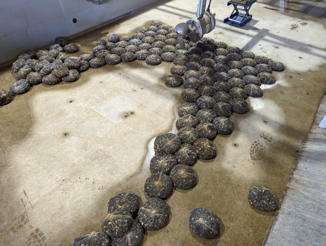 Photo of the WRL prop-wash facility after testing rock filled bags