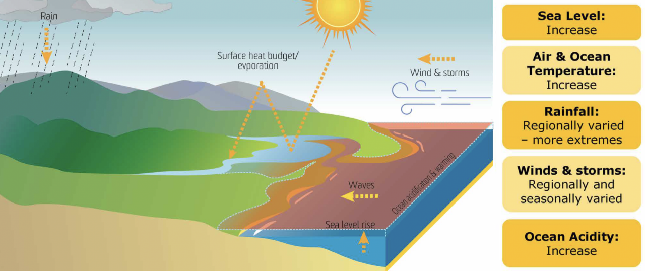 Illustration by Anna Blacka, UNSW Water Research Laboratory