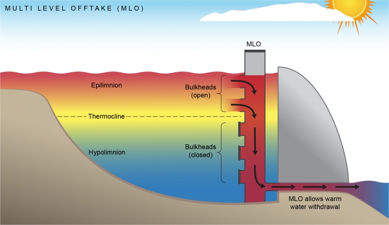 Illustration by Anna Blacka, UNSW Water Research Laboratory 