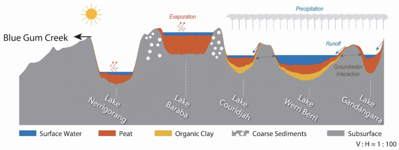 During the past decade, water levels in the Thirlmere Lakes have varied from full in 2016 to completely dry between October 2018 and February 2020. These variations have raised concerns with the local community and left them wondering; "Where has all the water gone in Thirlmere Lakes?"