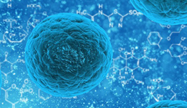Microbiology & Microbiomes explores the importance of microbes in the environment and microbial contributions to health and disease.