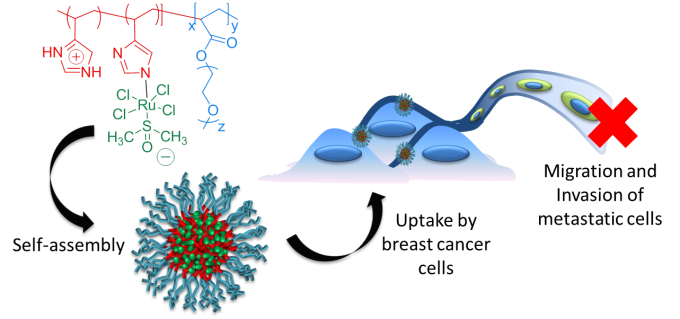 A drug carrier for the ruthenium drug RAPTA-C