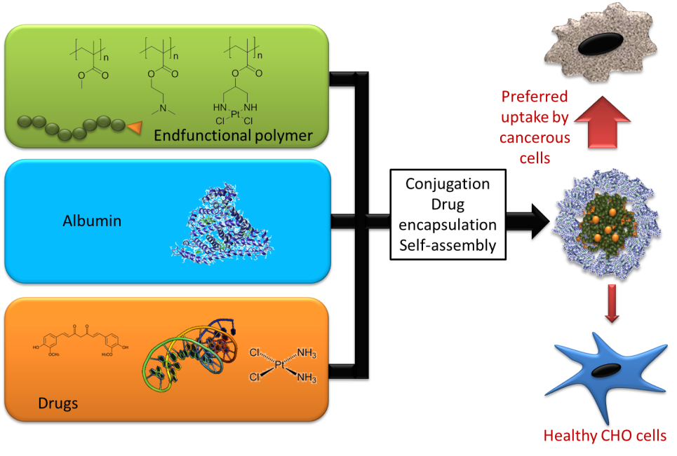 Design of albumin coated micelles for the delivery of various drugs