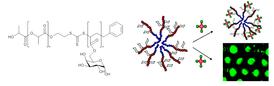 Example of a glyco block copolymer and schematic representation of PNA lectins binding with galactosylated micelles and porous films