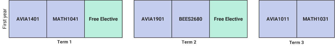 Aviation Management First year