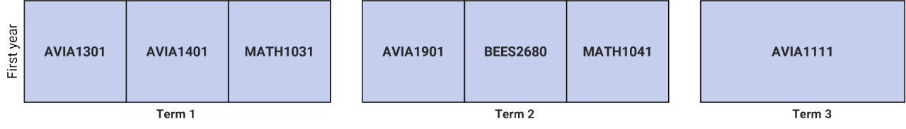 Aviation Flying First year